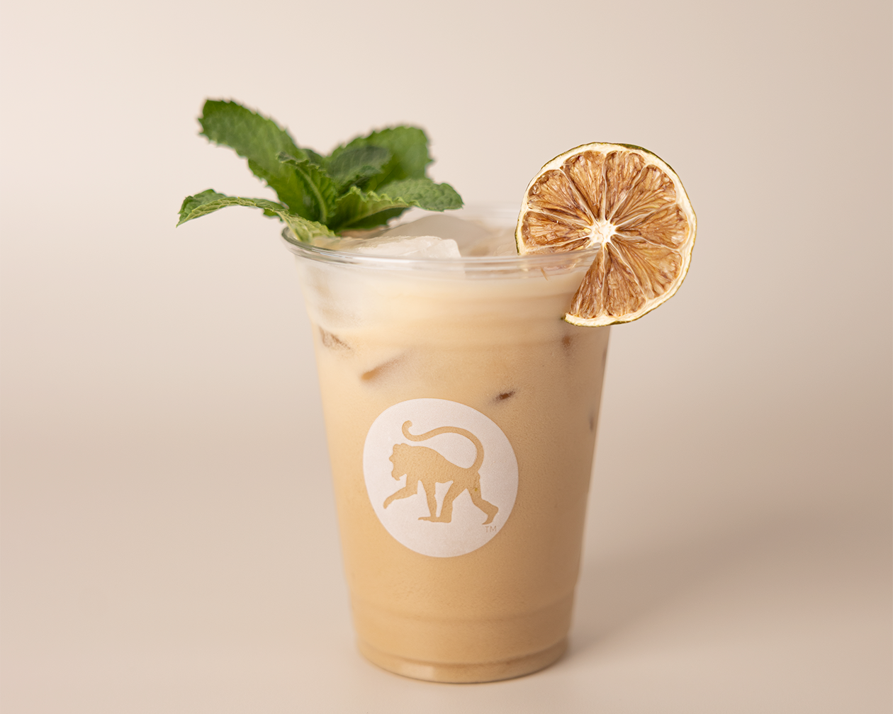 Mint Mojito Cold Brew Recipe