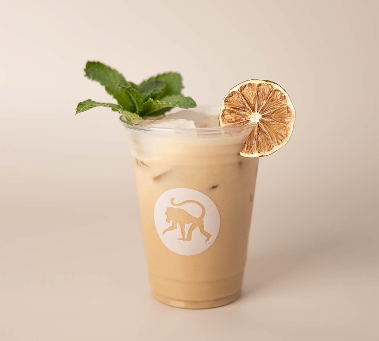 Mint Mojito Cold Brew Recipe