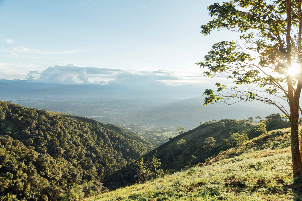 Colombia Yessica Parra
