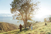 Sunlit valley view from El Mirador farm, Pitalito, Huila, at 1,750 MASL