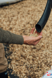 Colombia Arnulfo Caro Chiroso