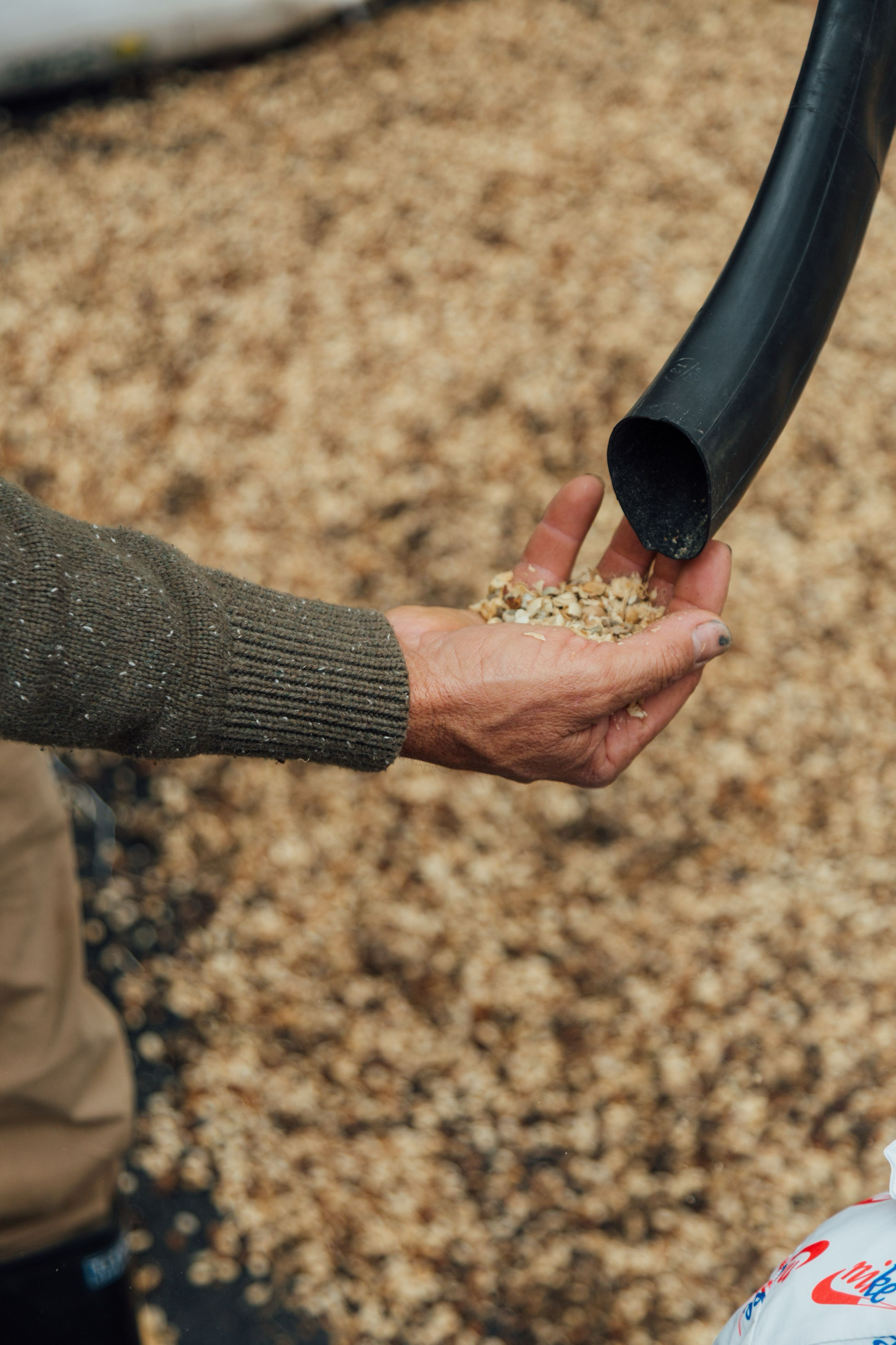 Colombia Arnulfo Caro Chiroso