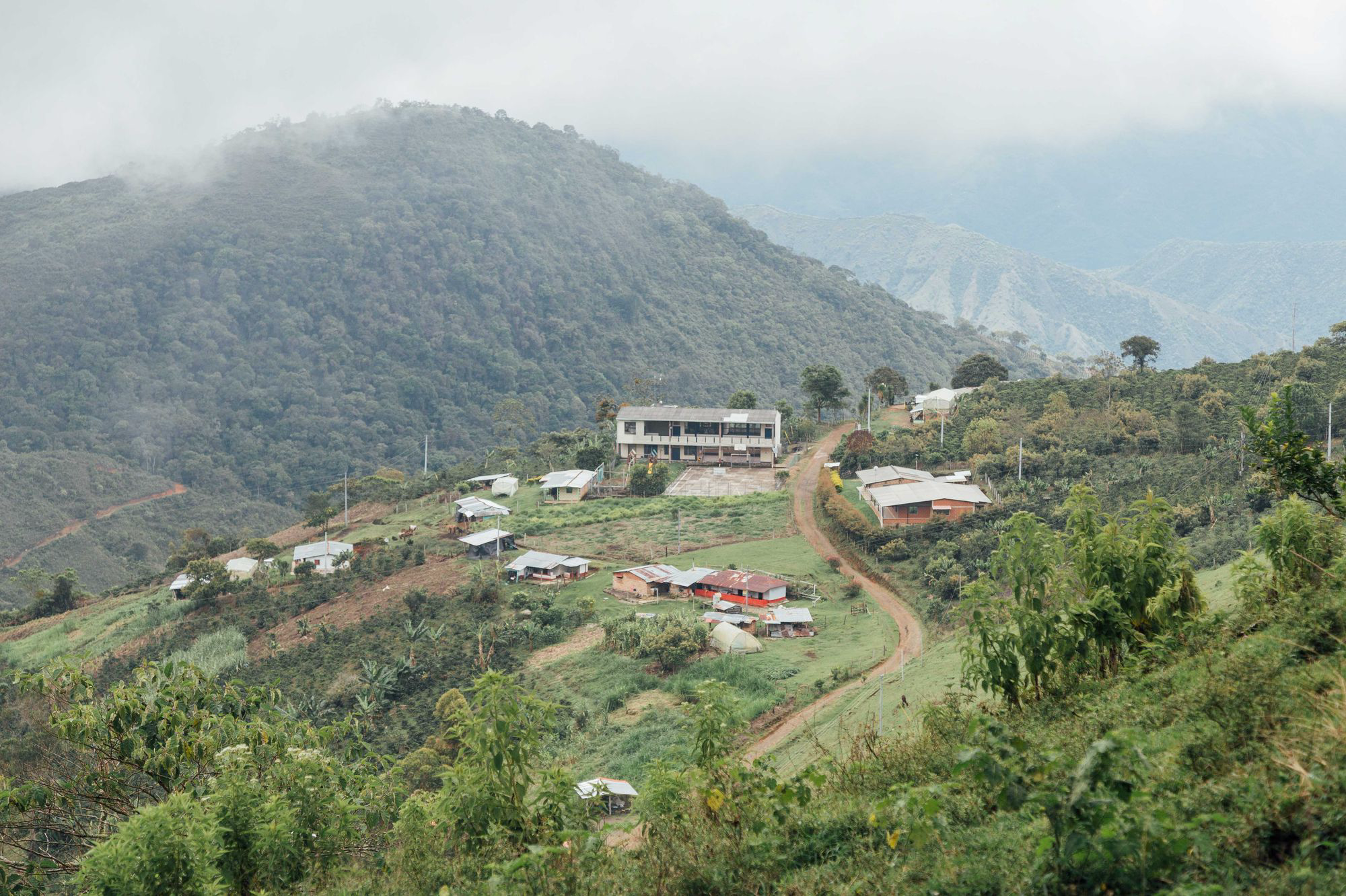 Colombia Arnulfo Caro Chiroso