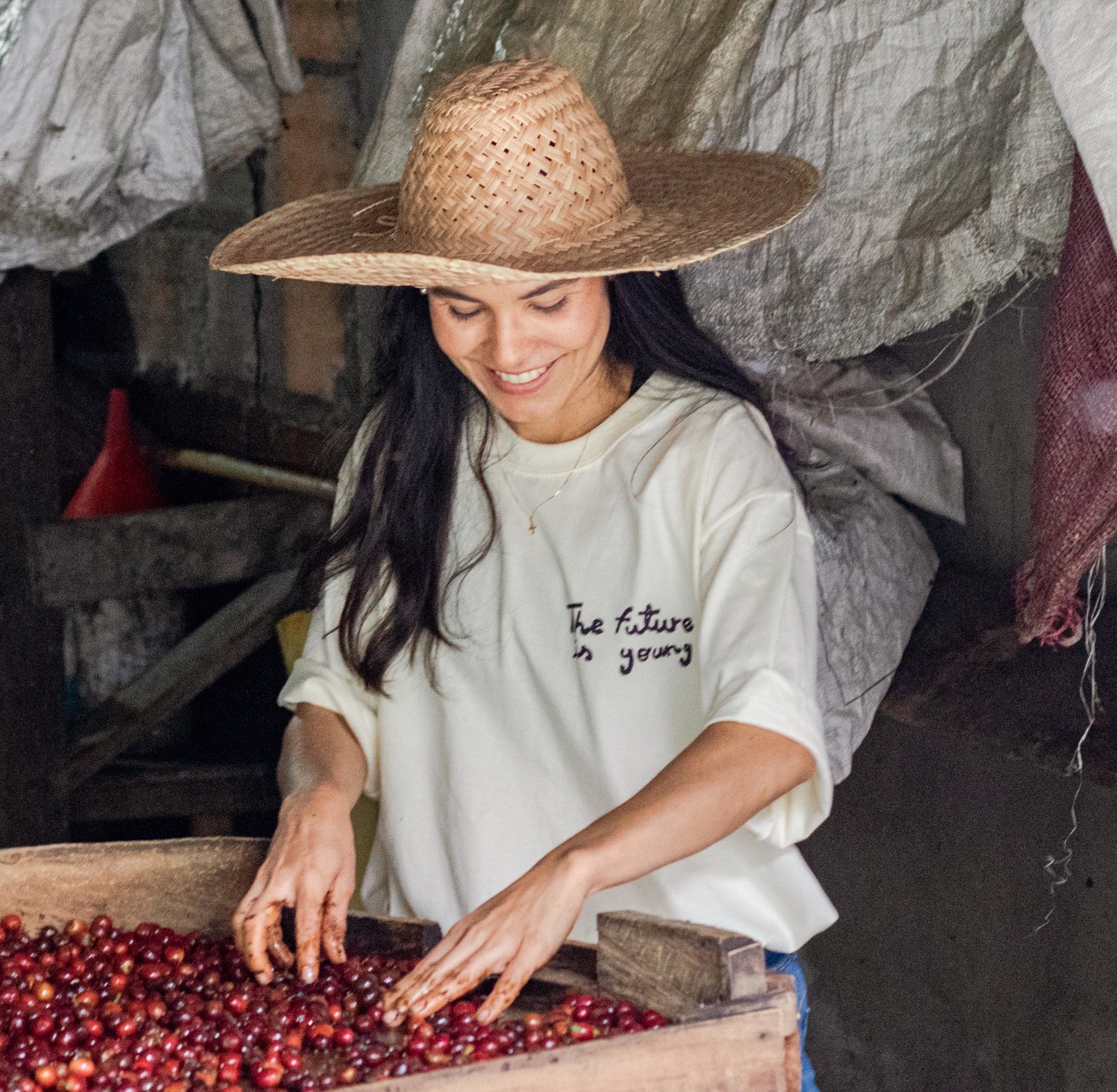 Carolina Ramirez in a straw hat and "The Future Is Young" T-shirt sorting coffee cherries in a wooden bin at San Antonio farm, Andes, Antioquia, 1,850 MASL