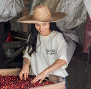 Carolina Ramirez in a straw hat and "The Future Is Young" T-shirt sorting coffee cherries in a wooden bin at San Antonio farm, Andes, Antioquia, 1,850 MASL