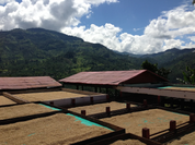 Costa Rica La Minita