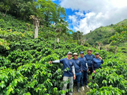 Costa Rica La Minita