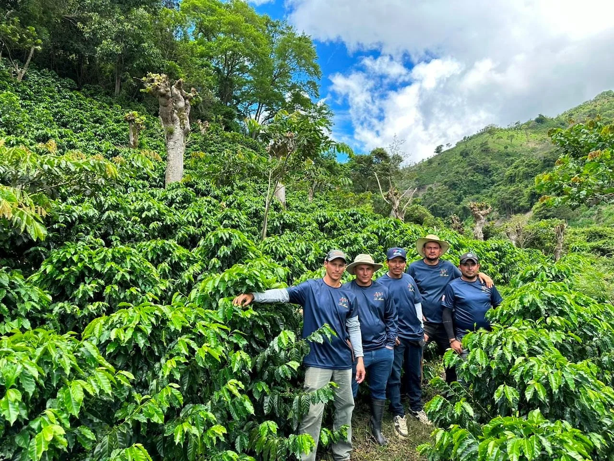 Costa Rica La Minita