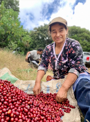 Woman sorting freshly harvested ripe red coffee cherries on burlap sacks at Finca Santa Juana, El Salvador
