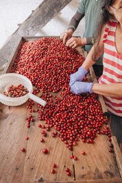 Colombia Carolina Ramirez