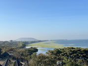 Wide view of a lake and wooded shoreline from above a stand of trees, Ethiopia