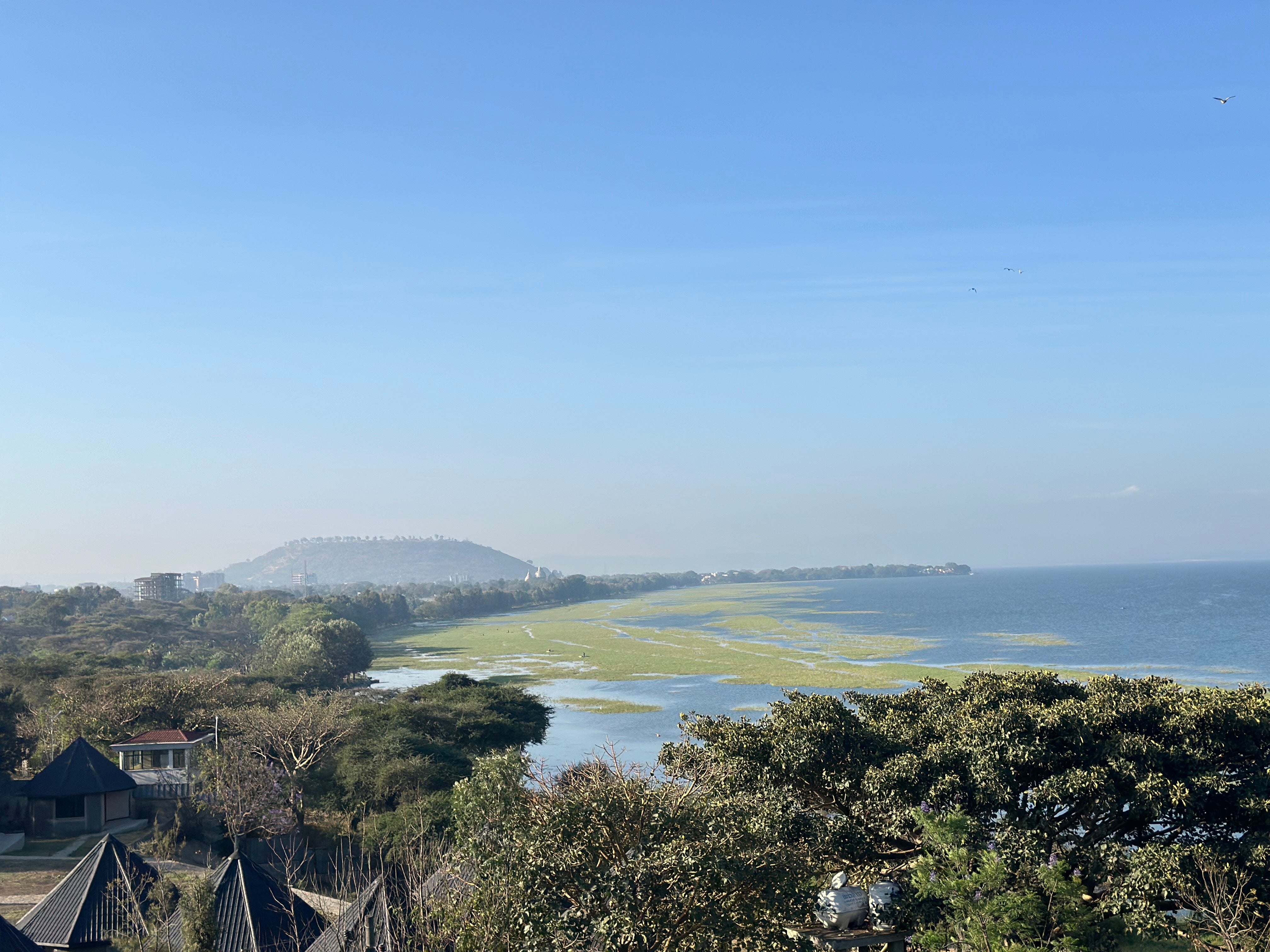 Wide view of a lake and wooded shoreline from above a stand of trees, Ethiopia