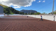 Workers raking whole coffee cherry on concrete drying patios below green hills, natural process coffee in Guatemala